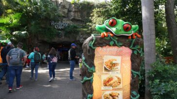 Is Rainforest Cafe owned by Disney?