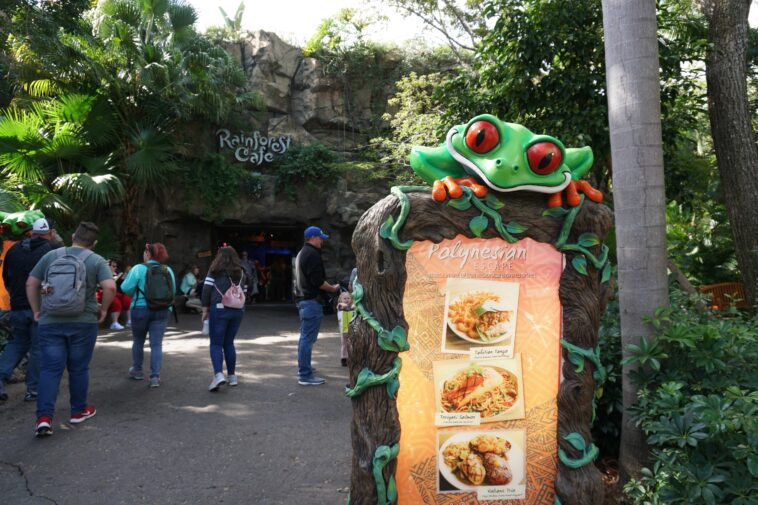 Is Rainforest Cafe owned by Disney?