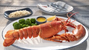 Is Red Lobster actually lobster?