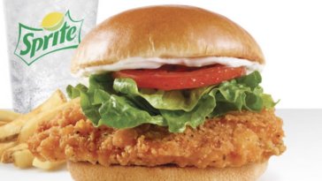 Is Wendy's Spicy Chicken Sandwich any good?