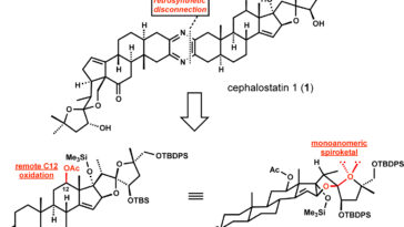 Is androsterone a steroid?
