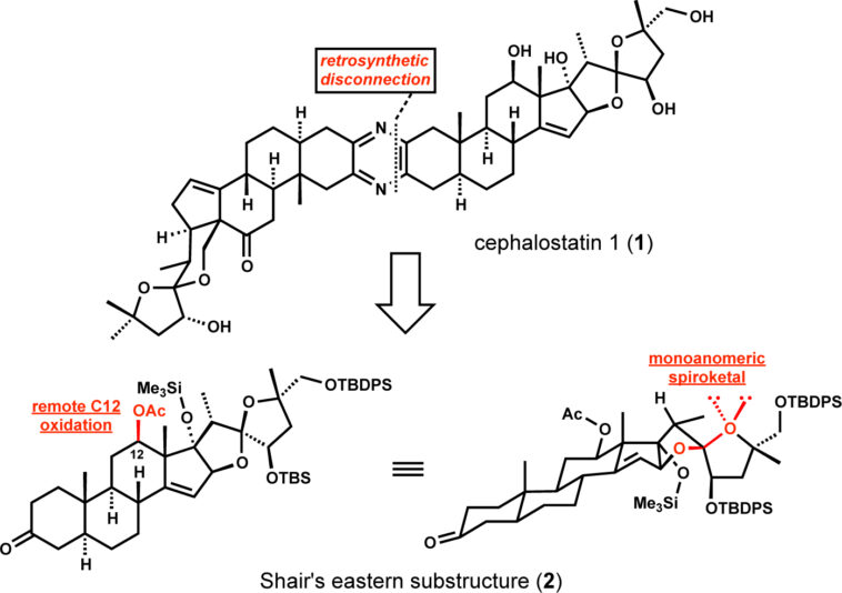 Is androsterone a steroid?