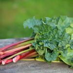 Is any part of rhubarb poisonous?