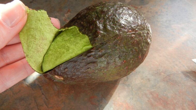 Is avocado peel poisonous?