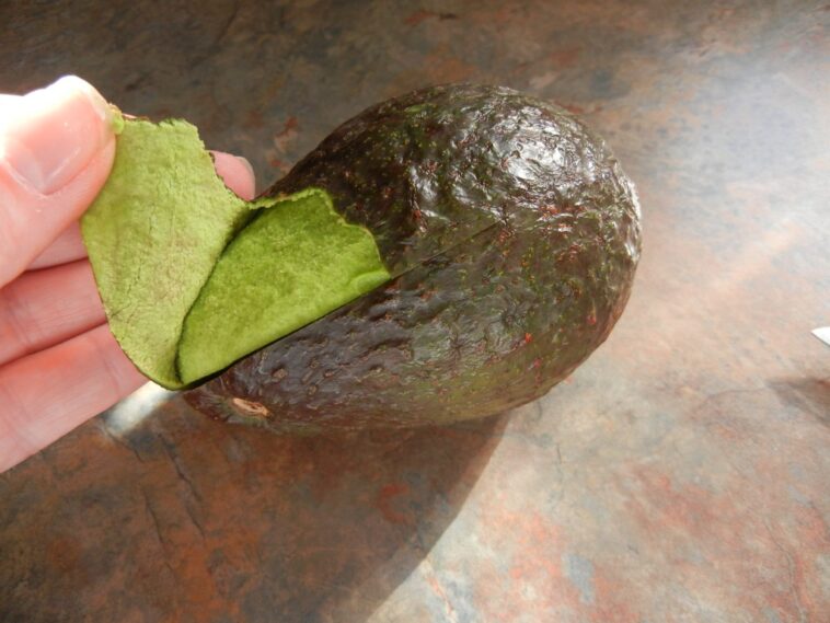 Is avocado peel poisonous?