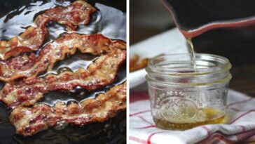 Is bacon grease better than olive oil?