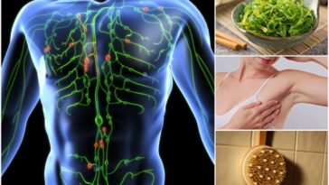 Is banana good for lymphatic system?