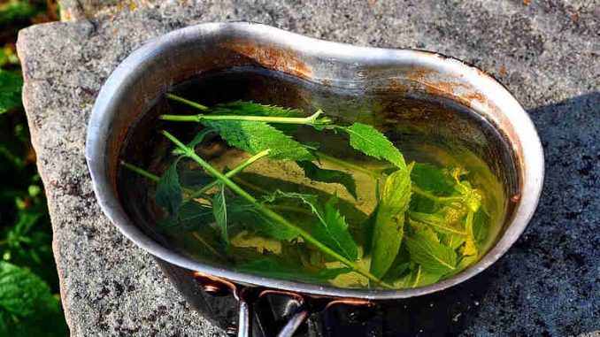 Is black tea Good for stomach?