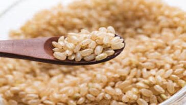 Is brown rice good for belly fat?