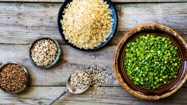 Is brown rice or pea protein better?