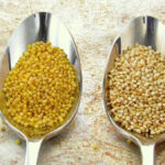 Is bulgur the same as millet?