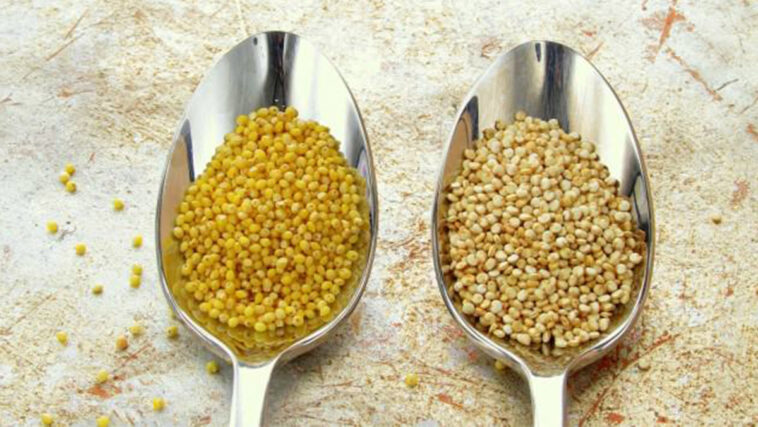 Is bulgur the same as millet?