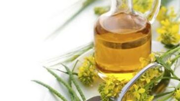 Is canola oil healthier than olive oil?