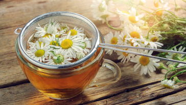 Is chamomile tea good for immune system?