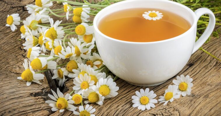 Is chamomile tea good for liver?
