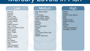 Is cod high in mercury?