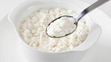 Is cottage cheese good for losing belly fat?