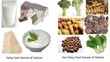 Is daily harvest high in sodium?