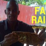 Is farm-raised catfish safe to eat?