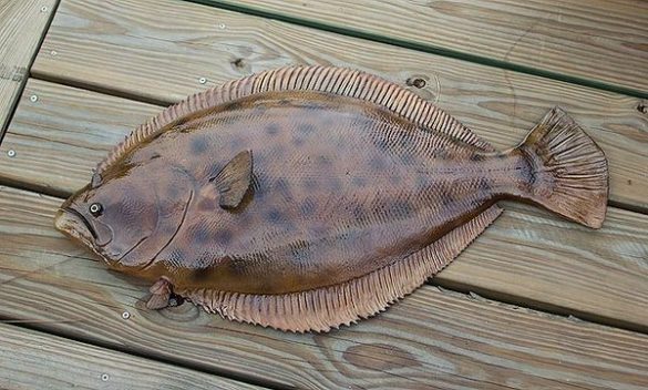 Is flounder good eating?