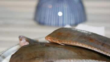 Is flounder good for cholesterol?