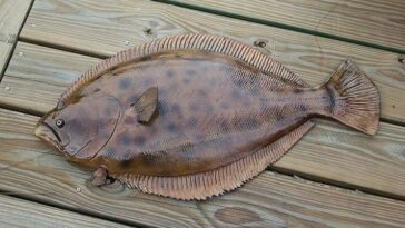 Is flounder healthy or not?