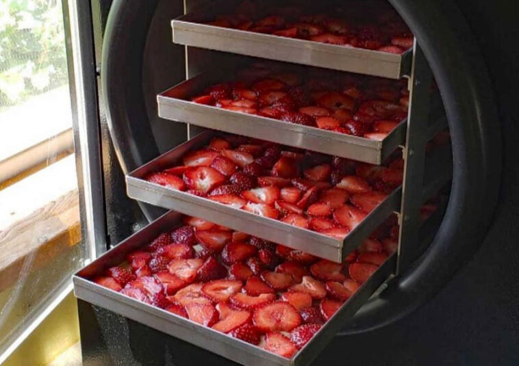 Is freeze-drying better than dehydrating?