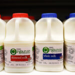 Is full fat milk OK with diabetes?