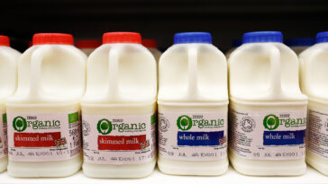 Is full fat milk OK with diabetes?