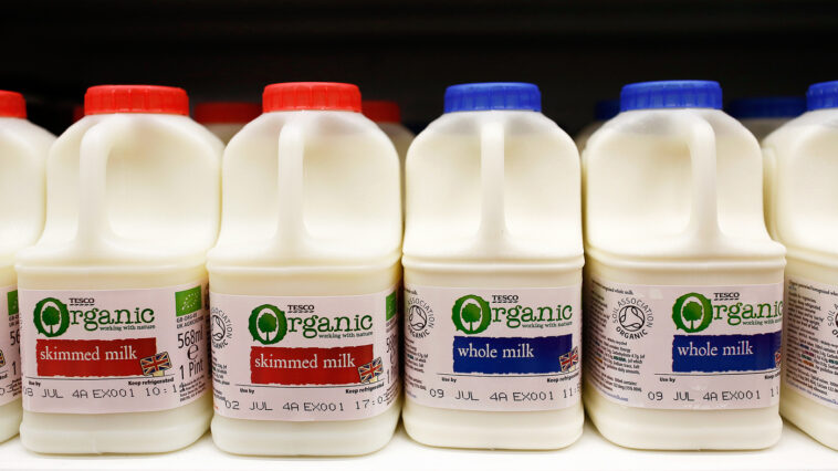 Is full fat milk OK with diabetes?