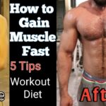 Is gainful good for muscle gain?