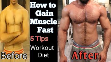 Is gainful good for muscle gain?