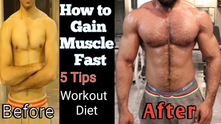 Is gainful good for muscle gain?