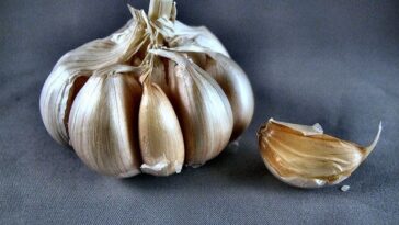 Is garlic good for cold sores?