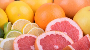 Is grapefruit a fat burner?