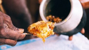 Is honey technically meat?