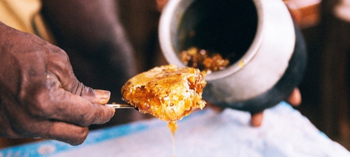 Is honey technically meat?