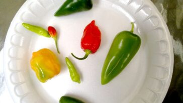 Is hot spicy food good for high blood pressure?