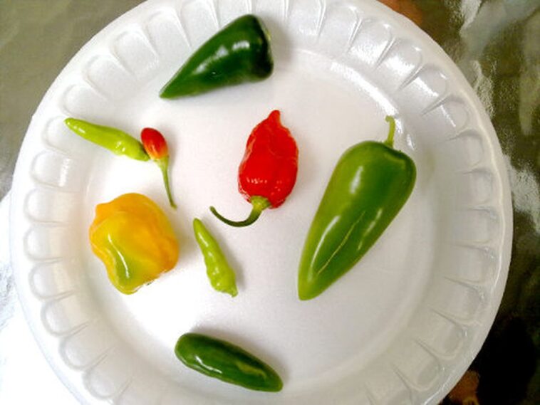 Is hot spicy food good for high blood pressure?