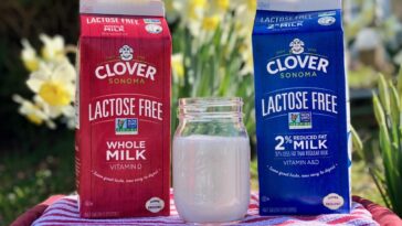 Is it OK to drink lactose-free milk?