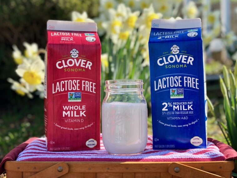 Is it OK to drink lactose-free milk?
