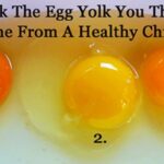 Is it OK to eat an orange egg yolk?