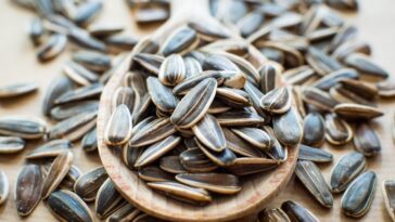 Is it OK to eat sunflower seeds every day?