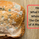 Is it OK to eat white bread everyday?