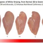 Is it OK to eat woody breast chicken?