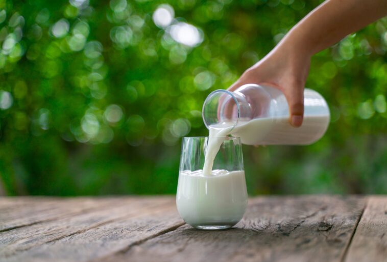 Is it better to drink filtered milk?