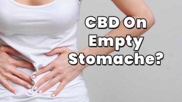 Is it better to go walking on an empty stomach?