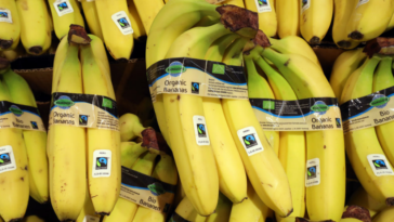 Is it better to keep bananas in the fridge or on the counter?