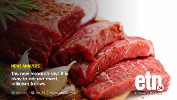 Is it okay to eat meat everyday?