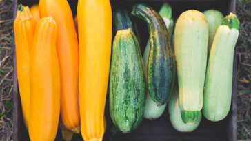 Is it okay to eat raw squash?